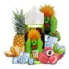 Ushiro Fighter Fuel 100ml - Maison Fuel